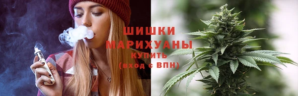 сатива Абинск