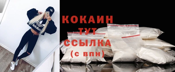 сатива Абинск