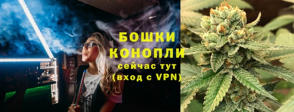 сатива Абинск