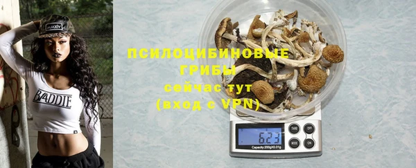 мдпв Абаза